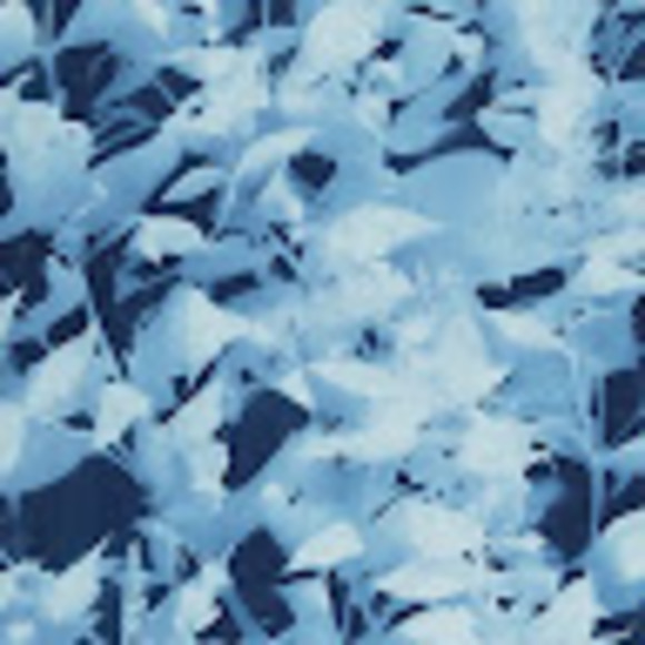 Meet your Posher, Kerry - Picture 1 of 1